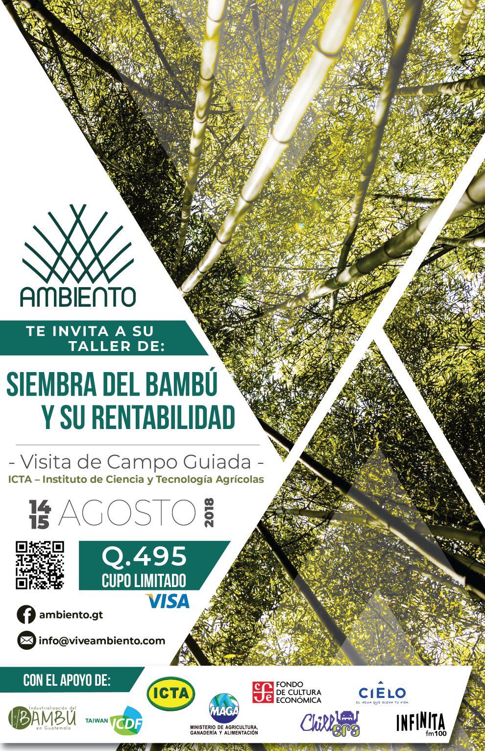 TALLER COLABORATIVO SIEMBRA BAMBU RENTABILIDAD GUATEMALA